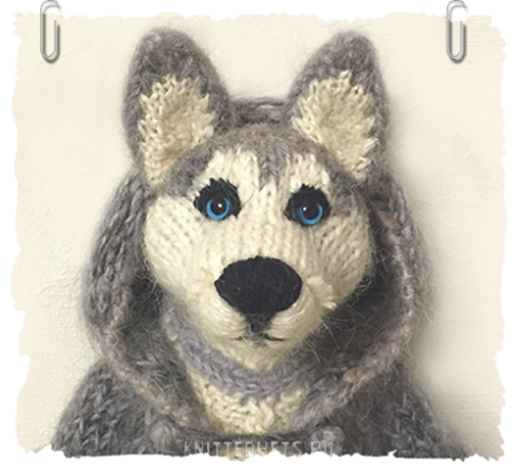 Husky puppy knitted dog